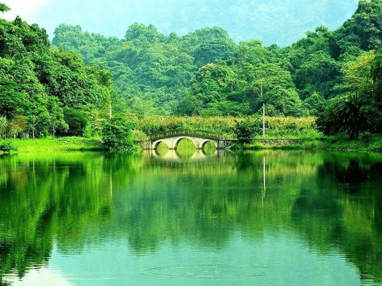 Cuc Phuong National Park