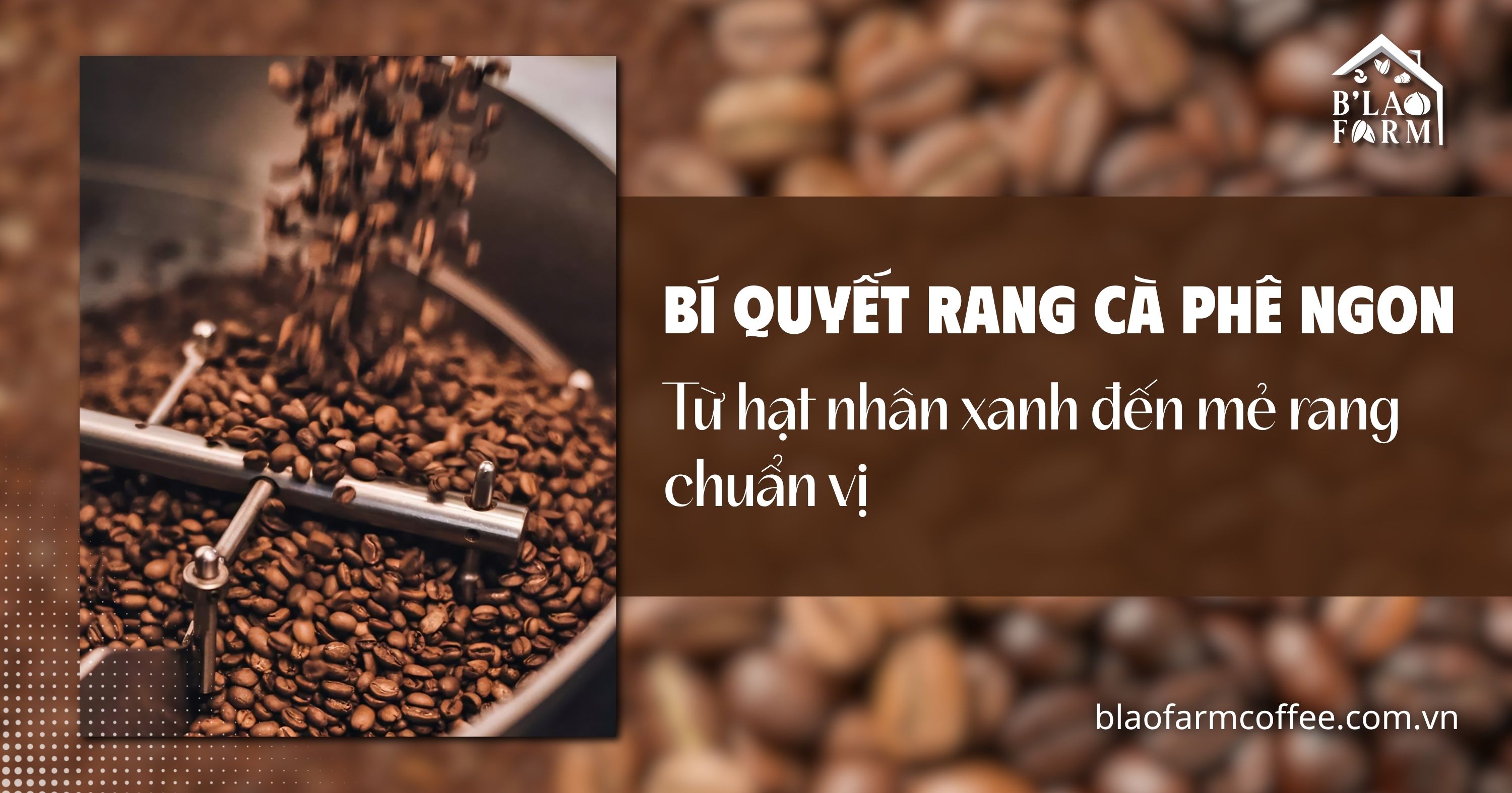 Bí quyết rang cà phê ngon: Từ hạt nhân xanh đến mẻ rang chuẩn vị