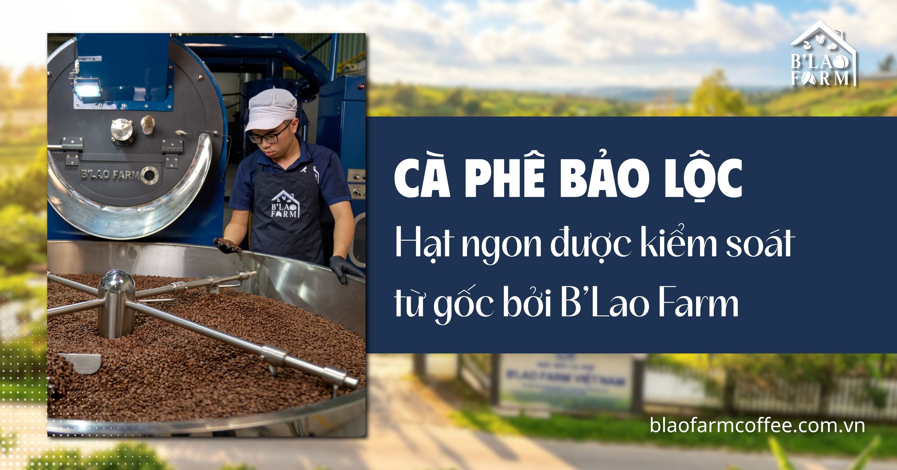 Cà Phê Bảo Lộc – Hạt ngon được kiểm soát từ gốc bởi B’Lao Farm