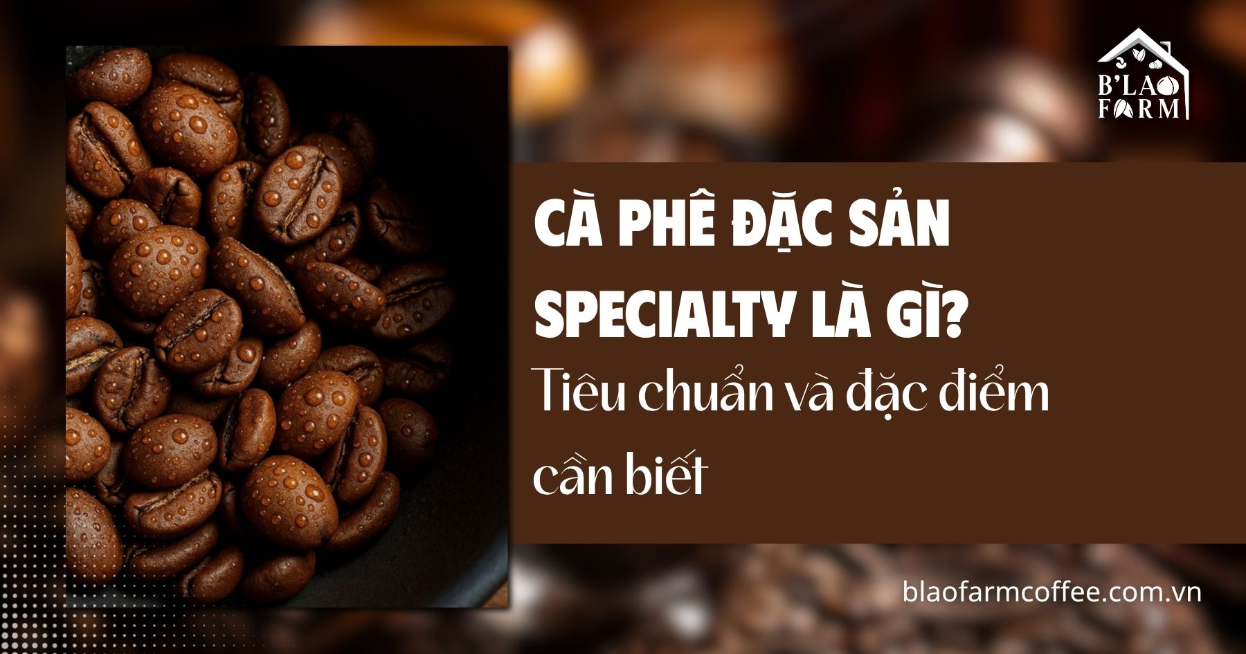 Cà phê đặc sản Specialty là gì? Tiêu chuẩn và đặc điểm cần biết