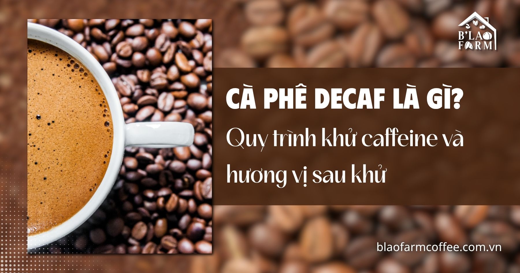 Cà phê Decaf là gì? Quy trình khử caffeine và hương vị sau khử