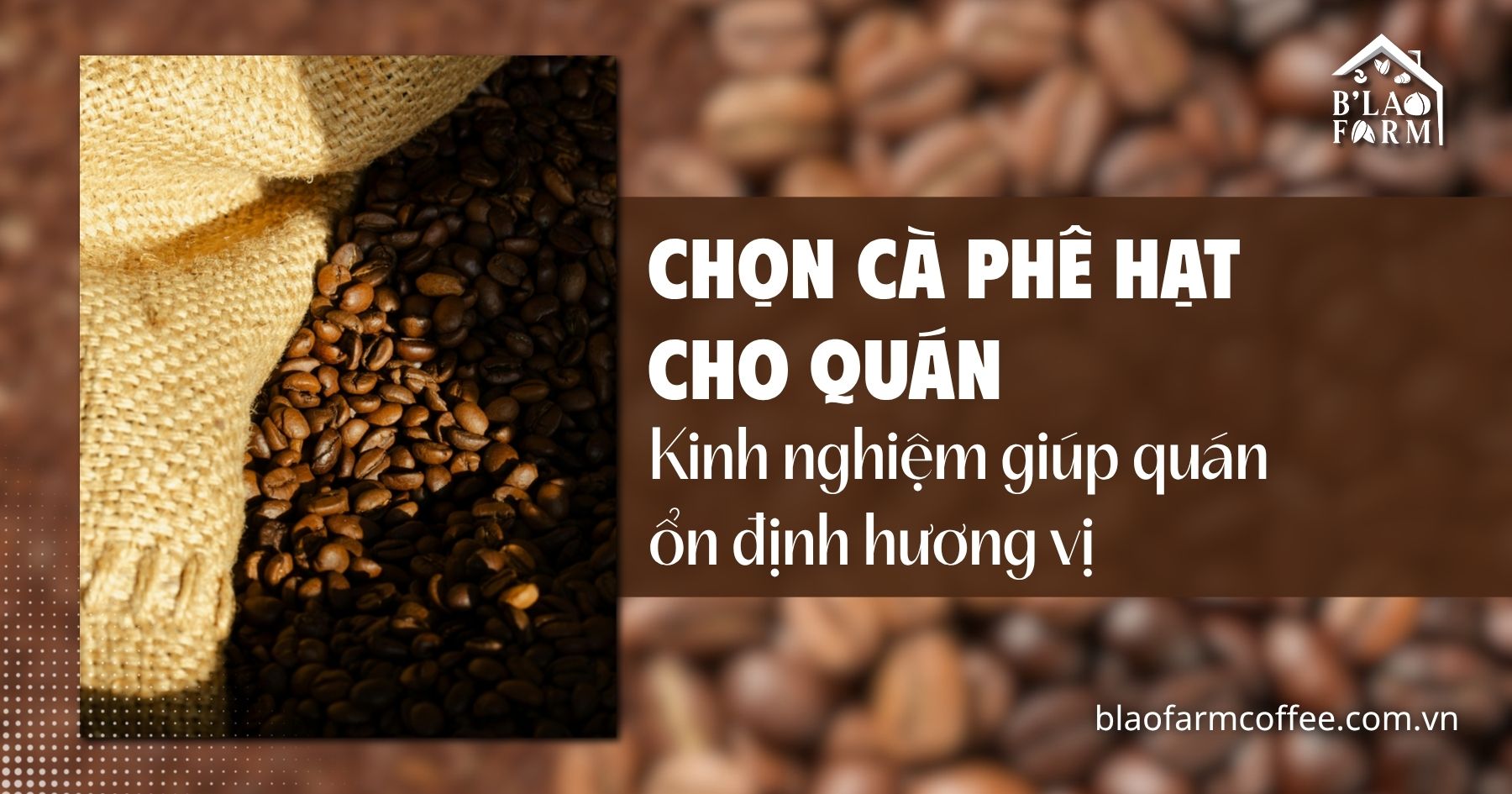 Cách chọn cà phê hạt cho quán – Kinh nghiệm giúp quán ổn định hương vị