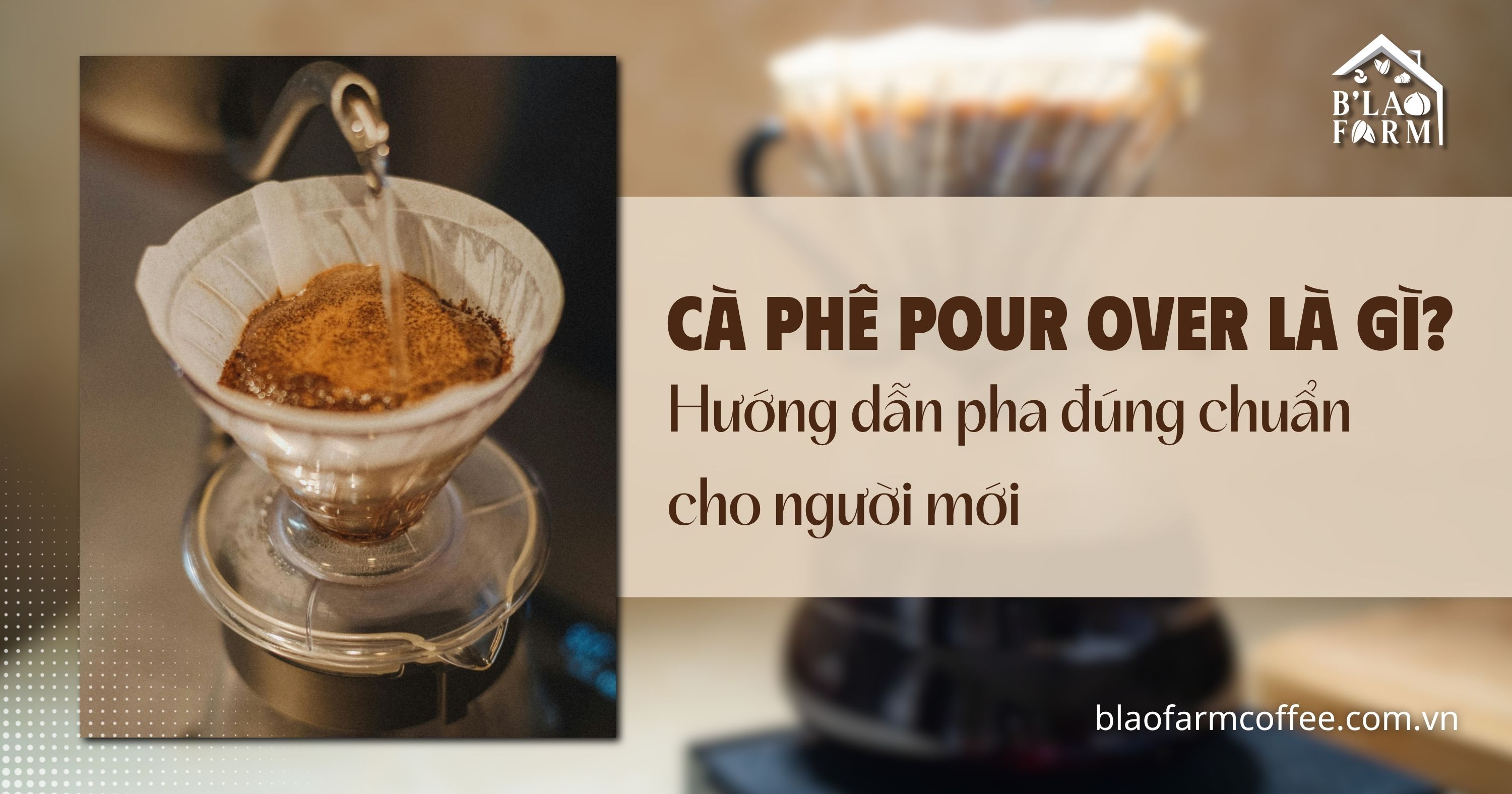 Cà phê Pour Over là gì? Hướng dẫn pha đúng chuẩn cho người mới