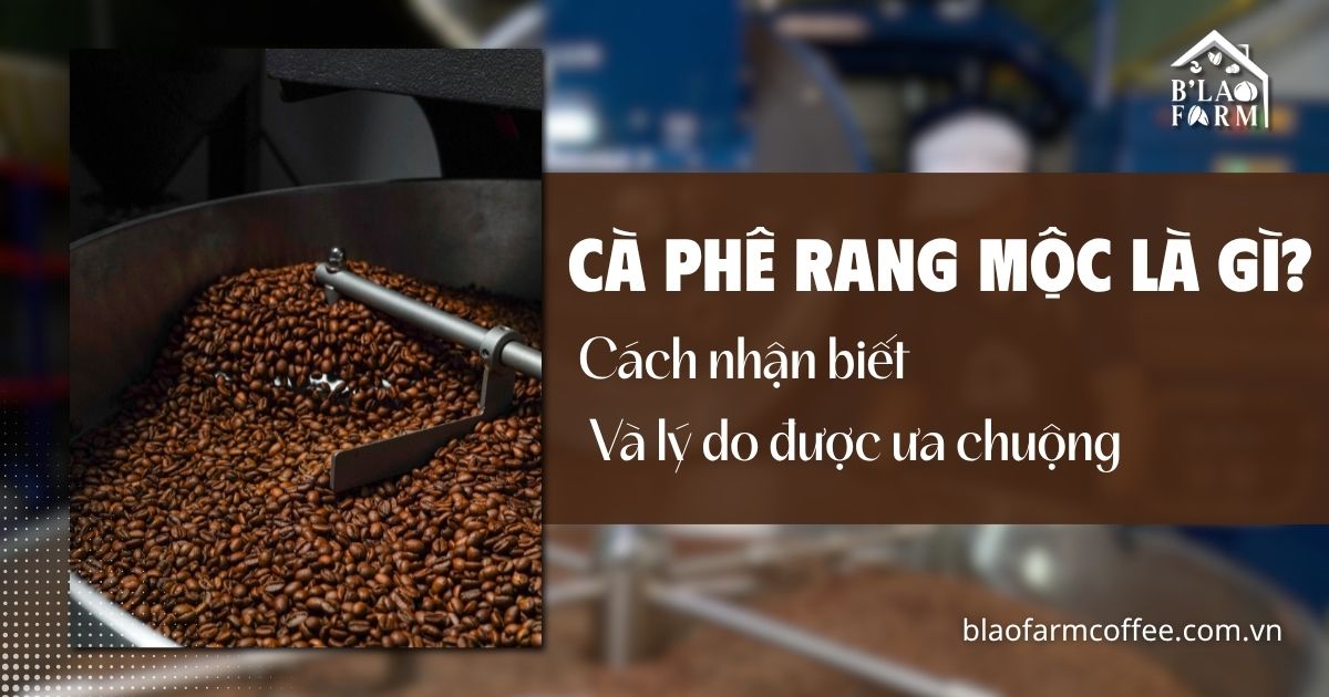 Cà phê rang mộc là gì? Cách nhận biết và lý do ngày càng được ưa chuộng