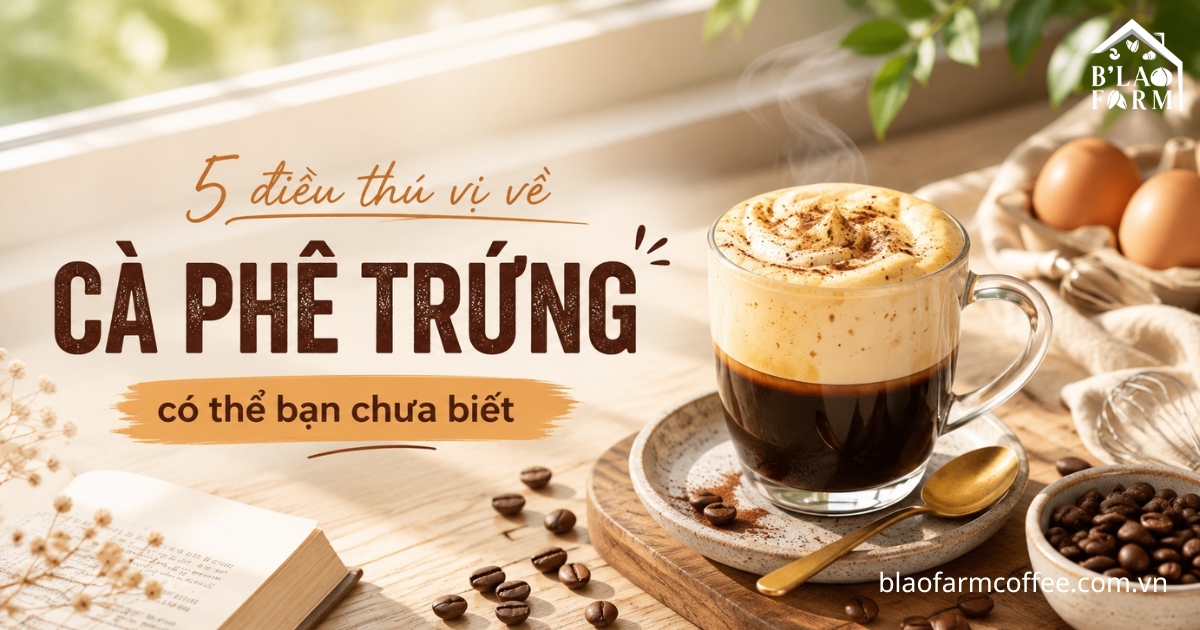 Cà phê trứng là gì? 5 điều thú vị về cà phê trứng có thể bạn chưa biết?