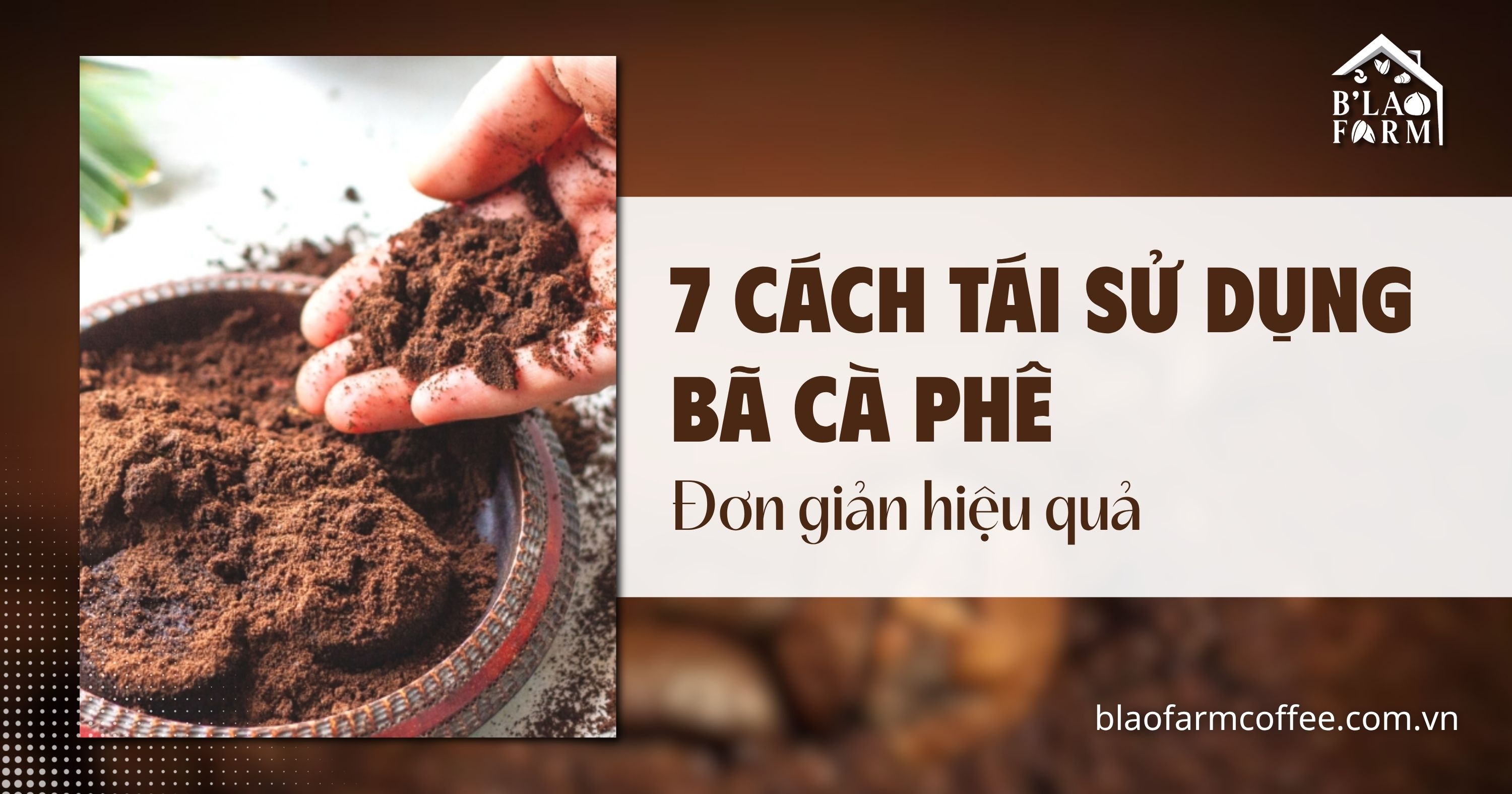 7 cách tái sử dụng bã cà phê đơn giản, hiệu quả