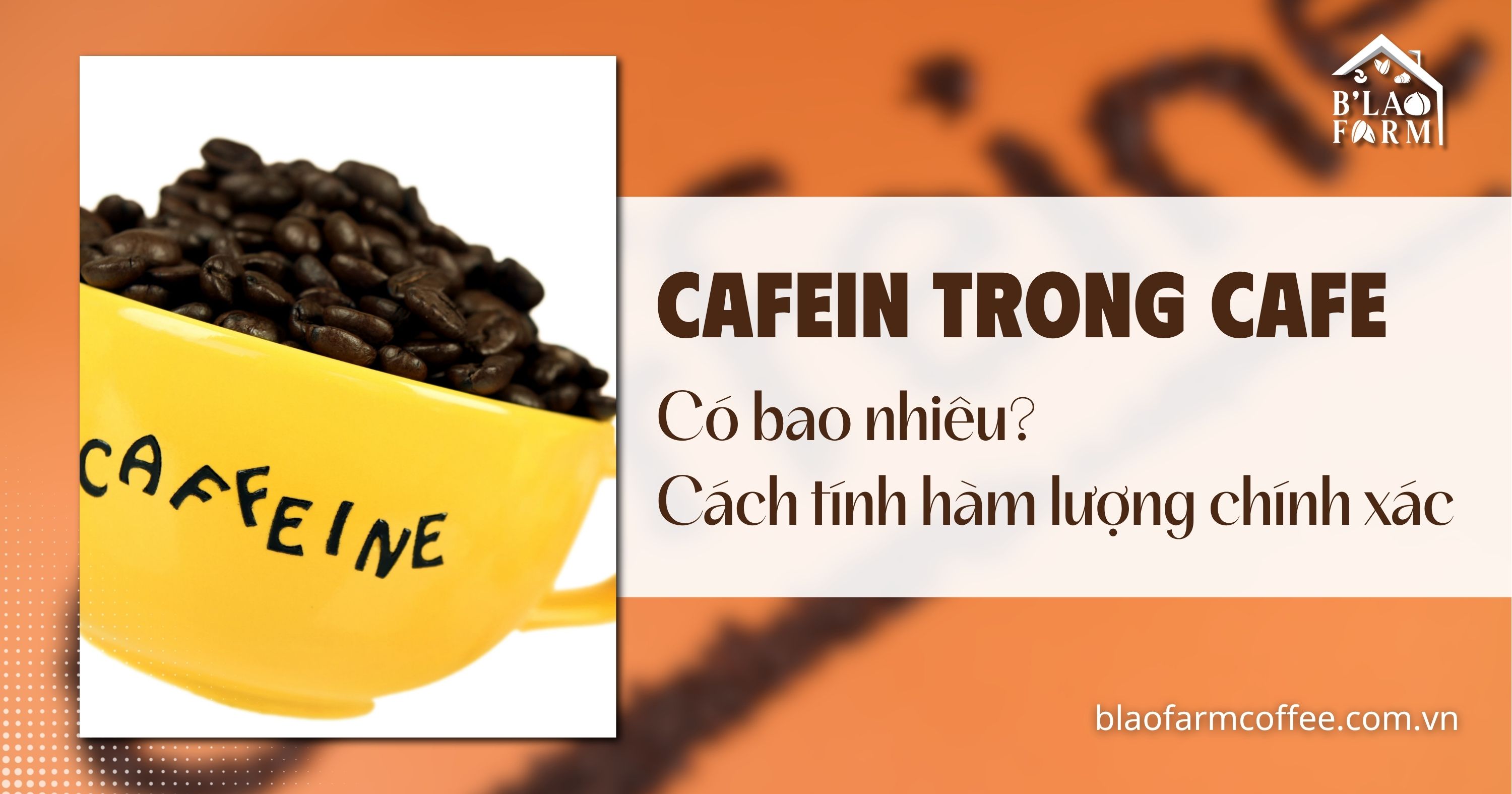 Cafein trong cafe có bao nhiêu? Cách tính hàm lượng chính xác