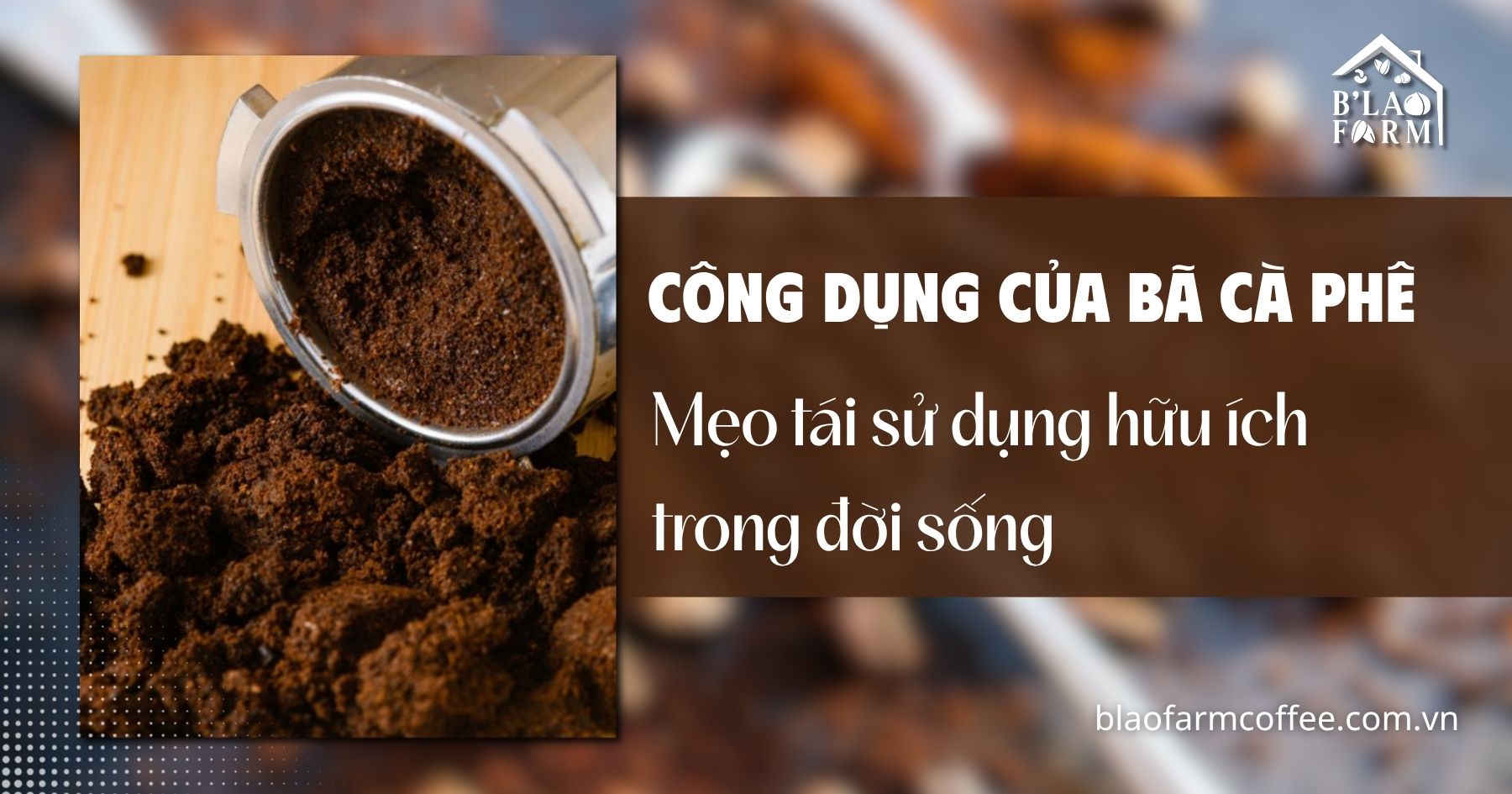 Công dụng của bã cà phê: Mẹo tái sử dụng hữu ích trong đời sống