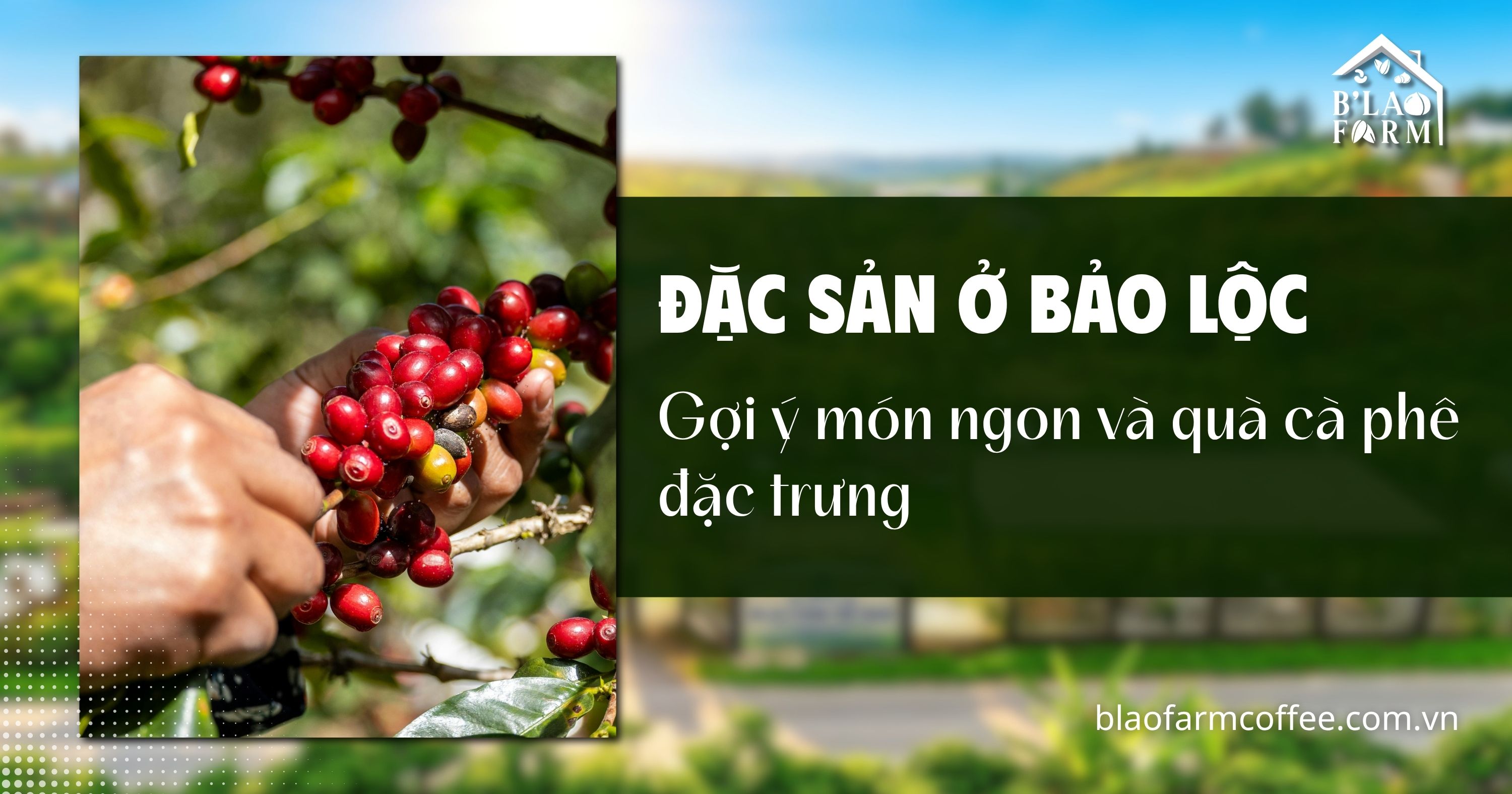 Đặc sản ở Bảo Lộc: Gợi ý món ngon và quà cà phê đặc trưng