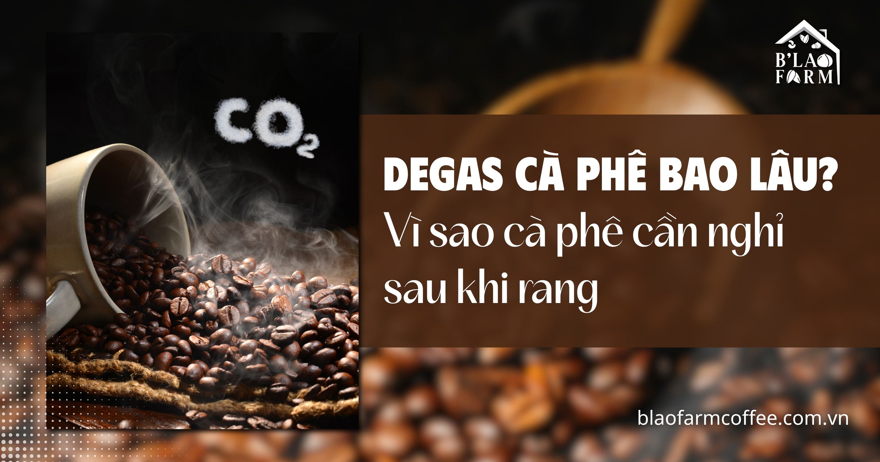 Degas cà phê bao lâu? Vì sao cà phê cần nghỉ sau rang