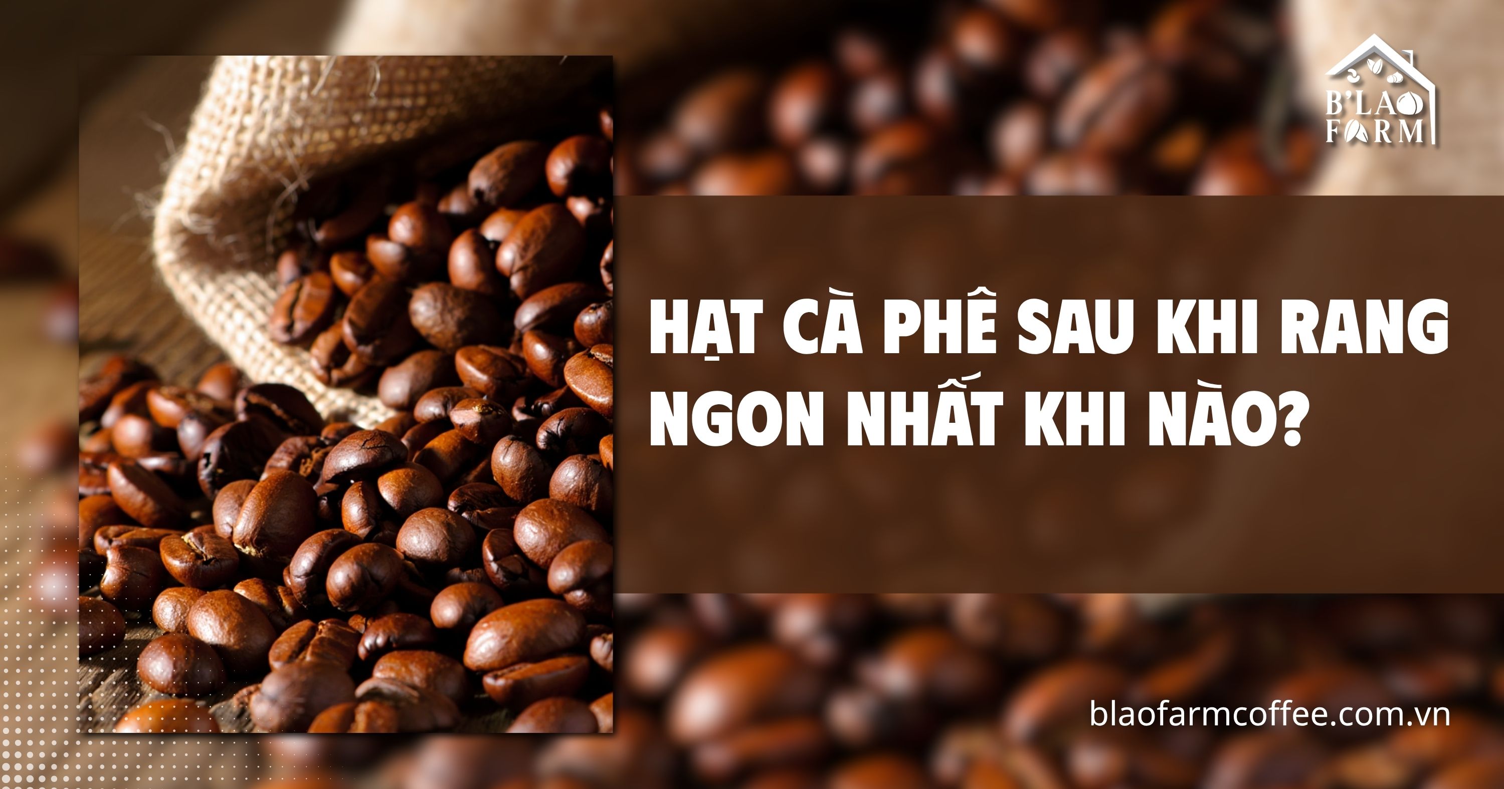 Hạt cà phê sau khi rang ngon nhất khi nào?