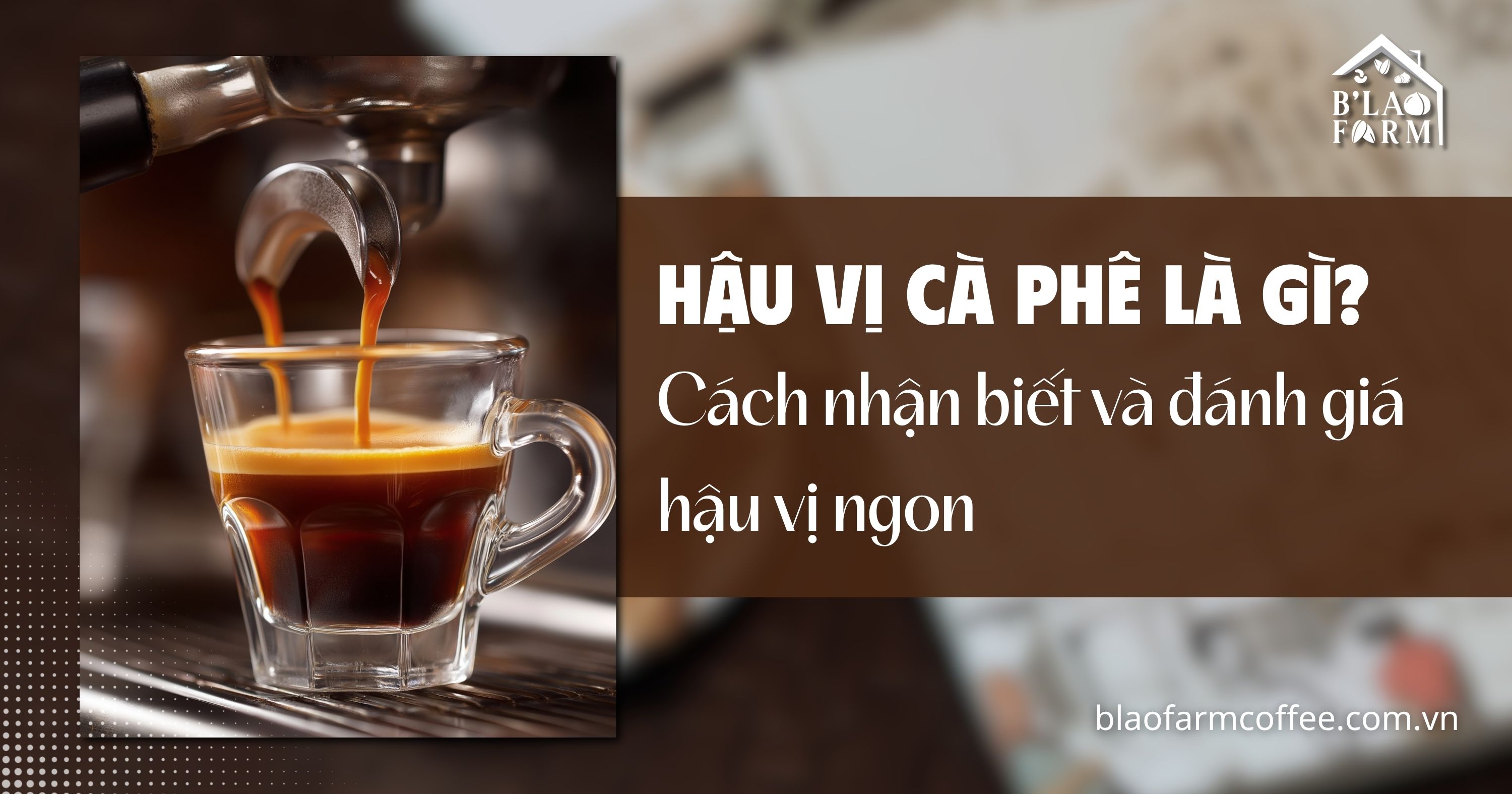 Hậu vị cà phê là gì? Cách nhận biết và đánh giá hậu vị ngon