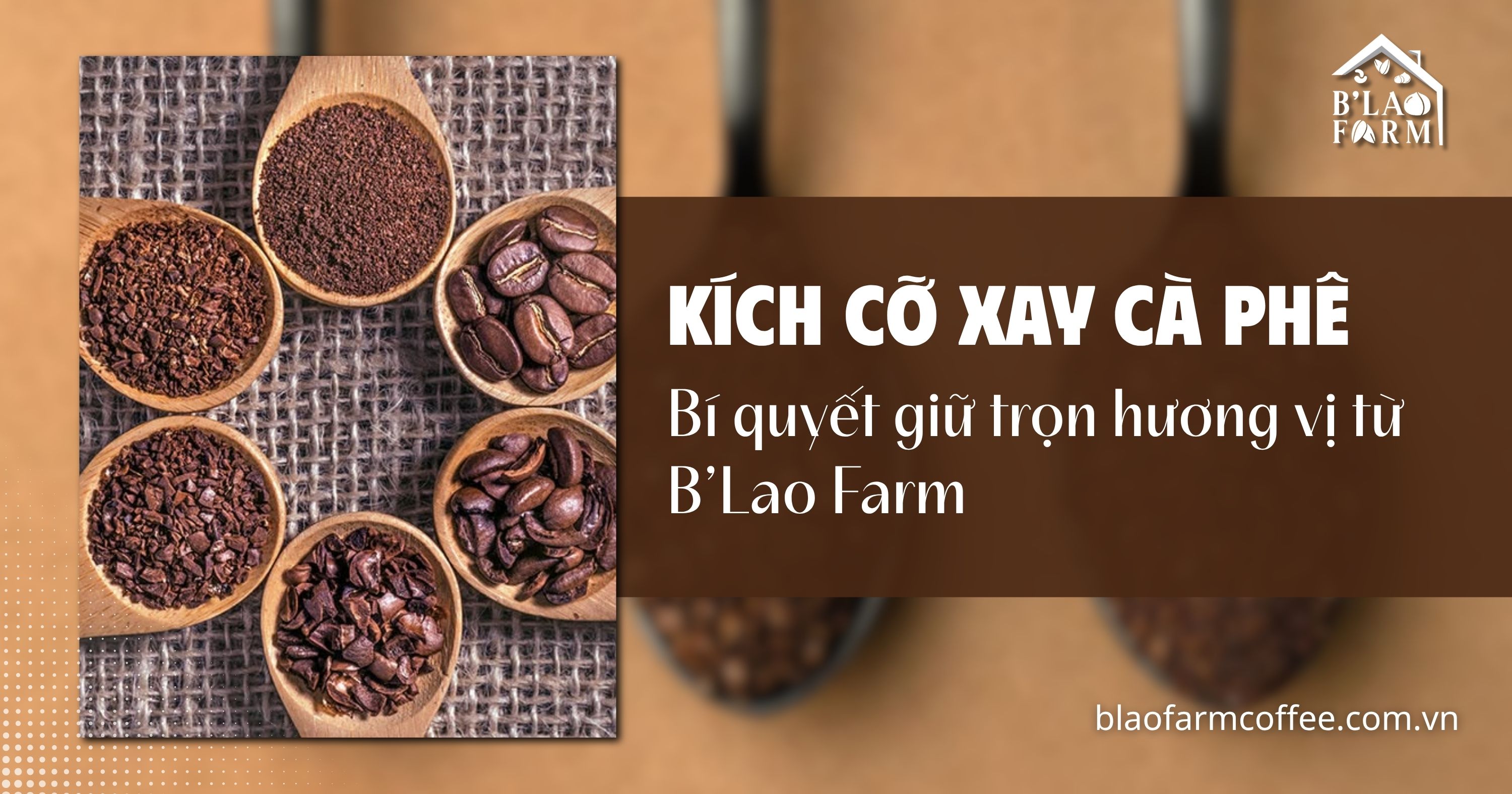 Kích cỡ xay cà phê – Bí quyết giữ trọn hương vị từ B’Lao Farm