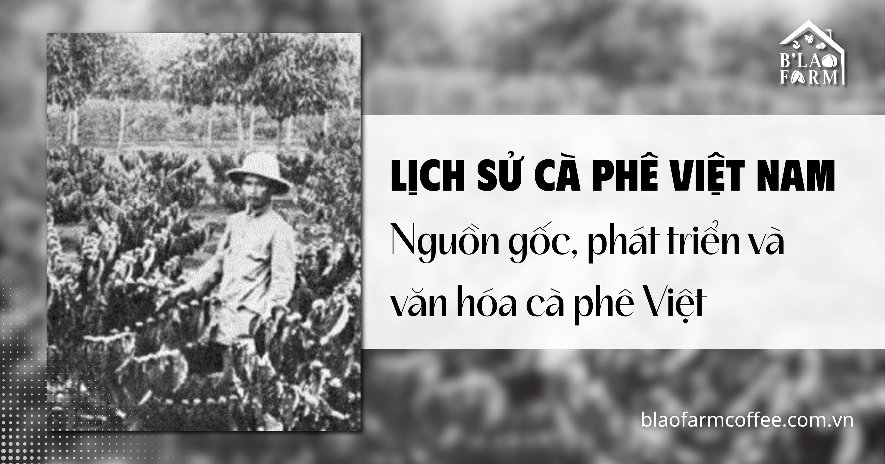 Lịch sử cà phê Việt Nam: Nguồn gốc, phát triển và văn hóa cà phê Việt