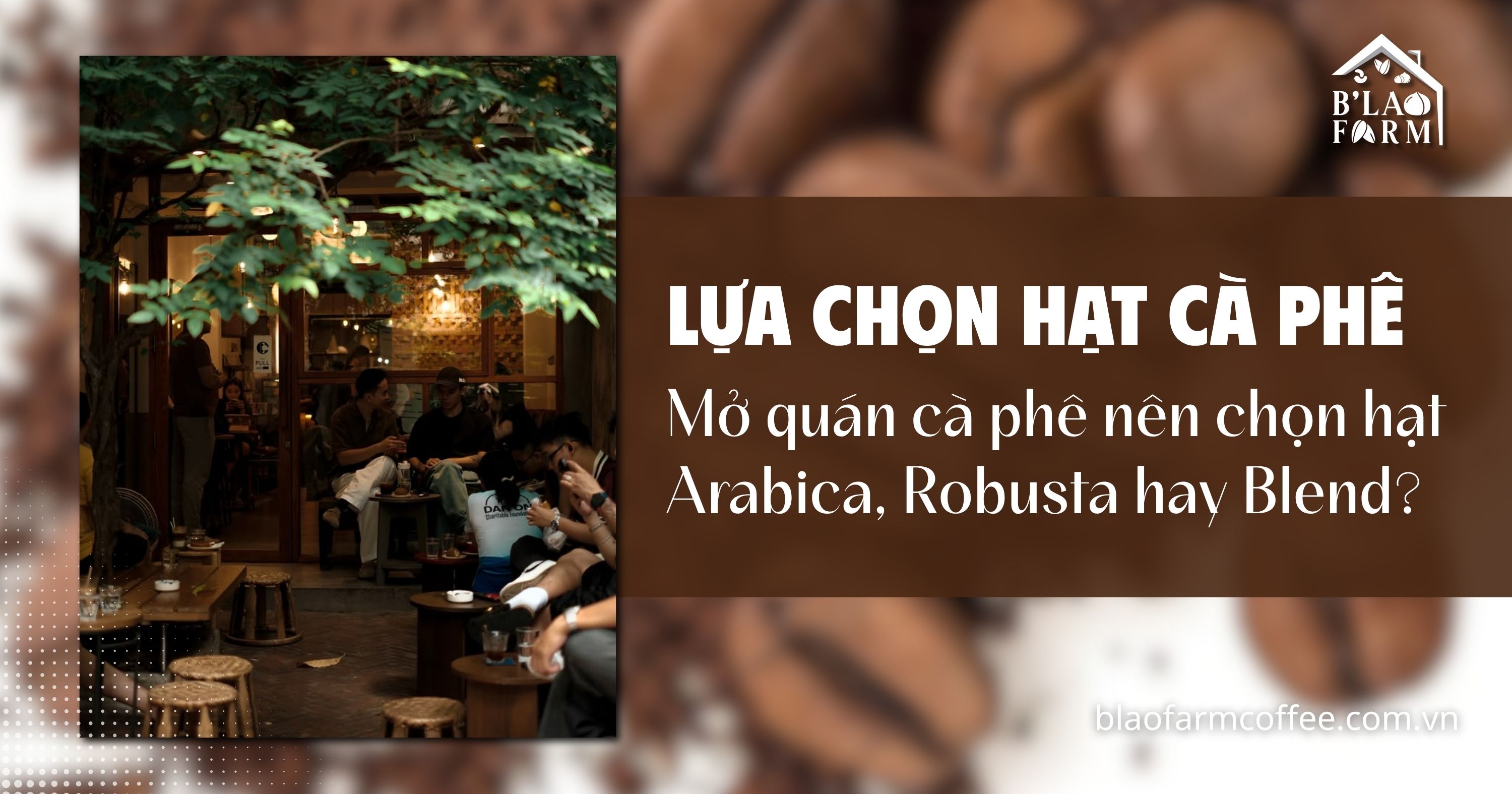 Mở quán cà phê nên lựa chọn hạt cà phê Arabica, Robusta hay Blend?