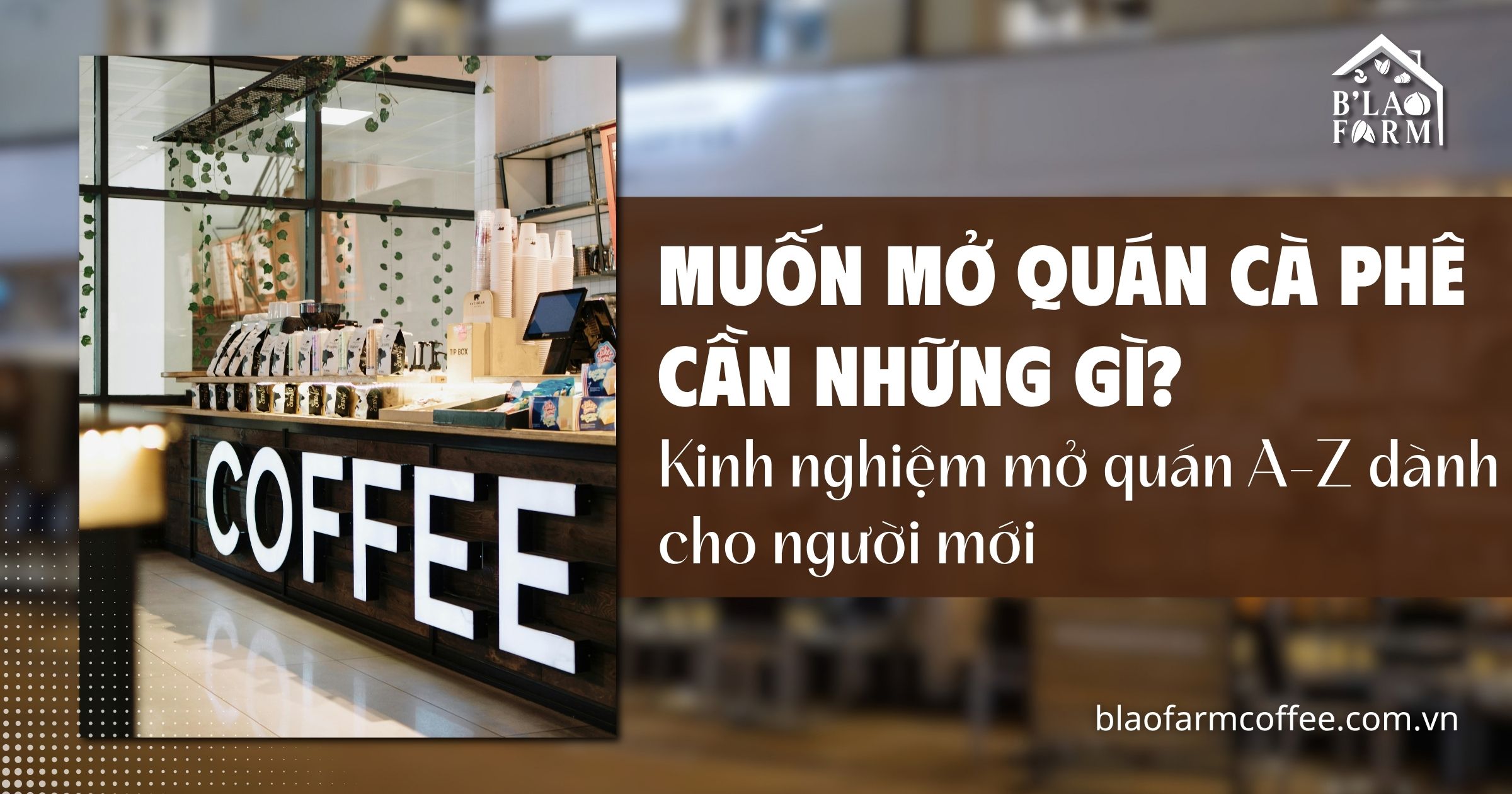 Muốn mở quán cà phê cần những gì? Kinh nghiệm mở quán A-Z dành cho người mới
