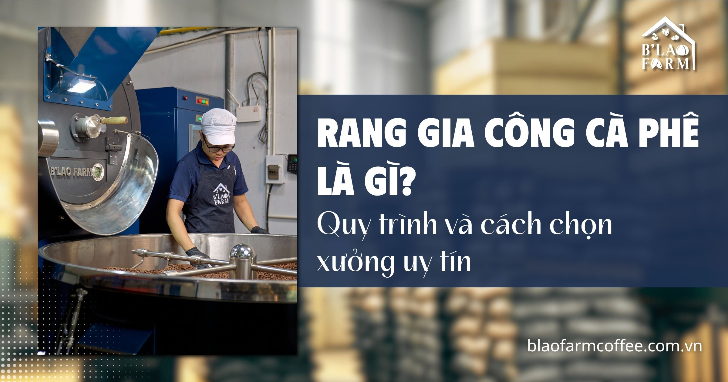 Rang gia công cà phê là gì? Quy trình và cách chọn xưởng uy tín