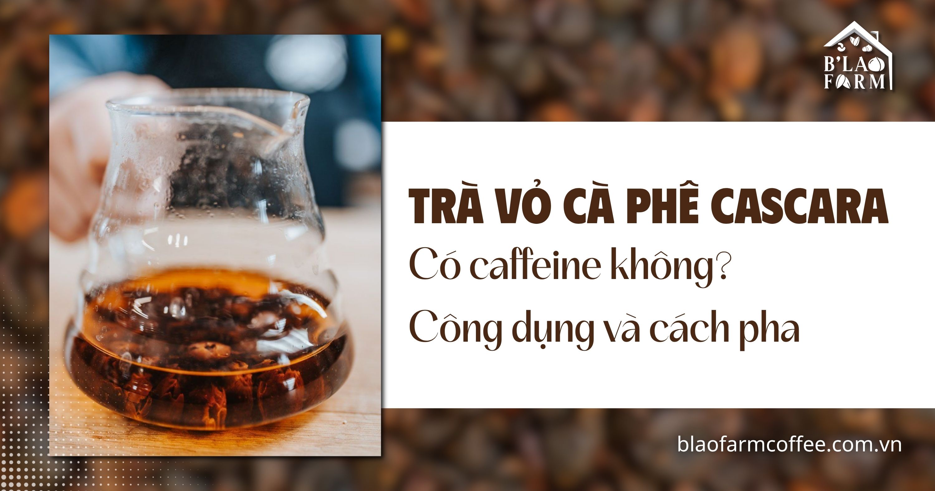 Trà vỏ cà phê cascara có caffeine không? Công dụng và cách pha