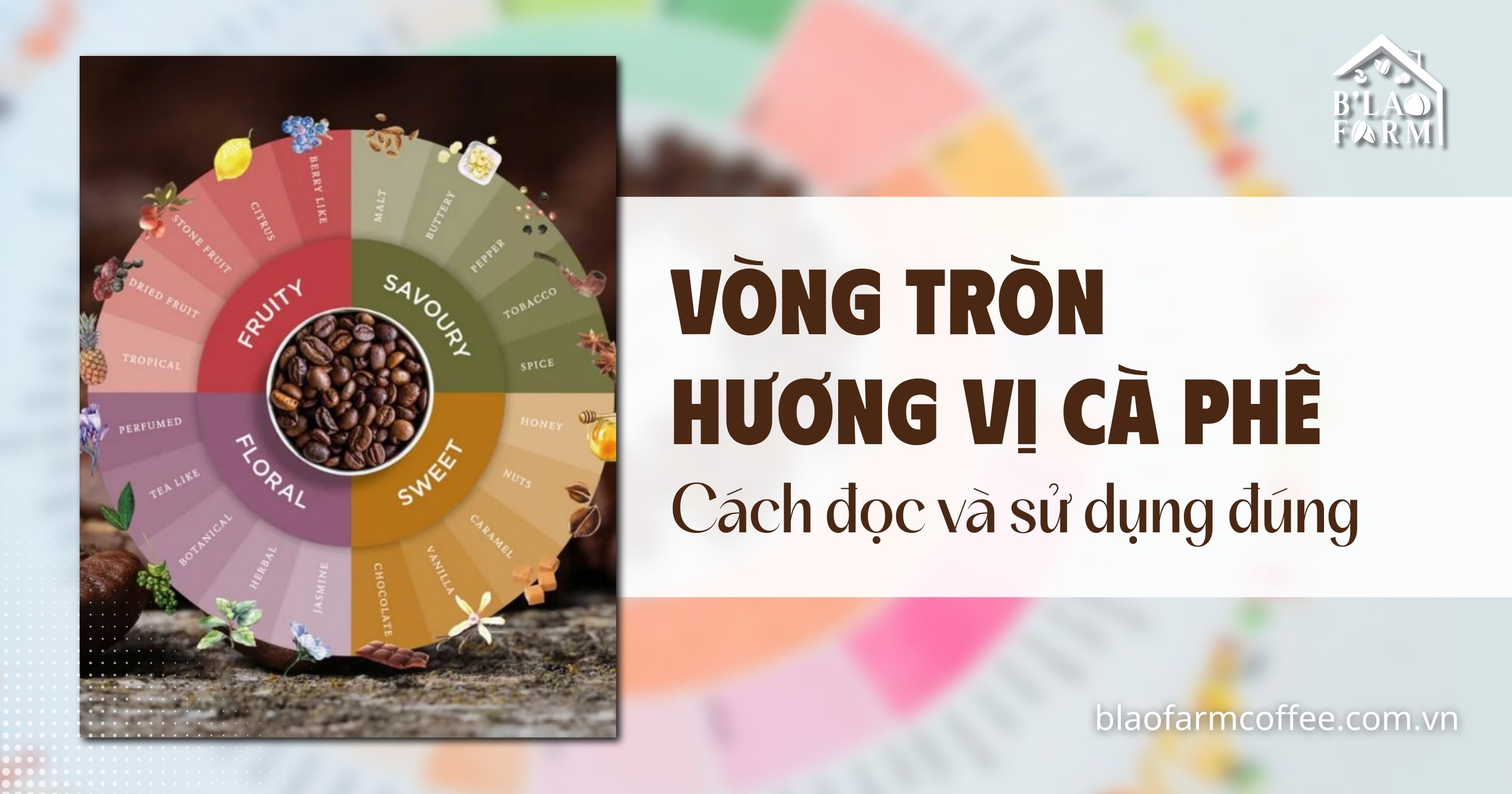 Vòng tròn hương vị cà phê là gì? Cách đọc và sử dụng đúng