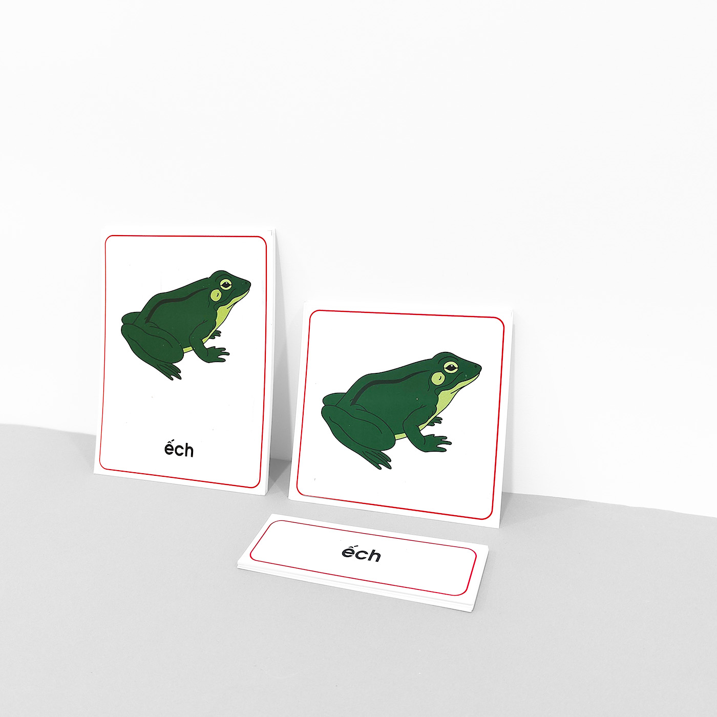 Thẻ 3 phần các bộ phận của ếch - Theo tủ động vật có khay