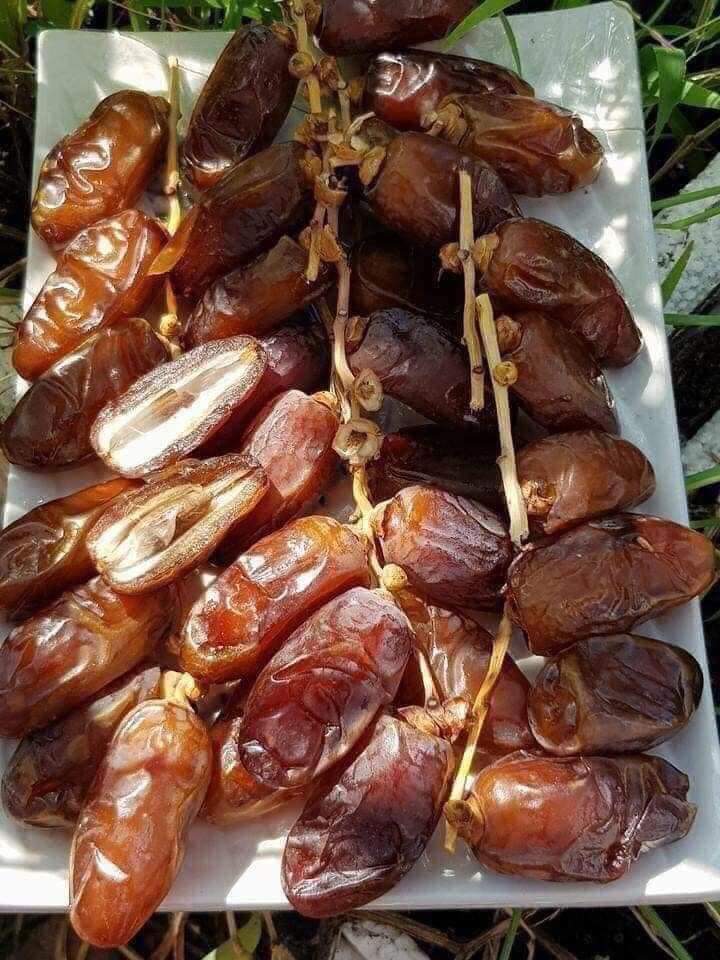 Chà là sấy khô nguyên cành