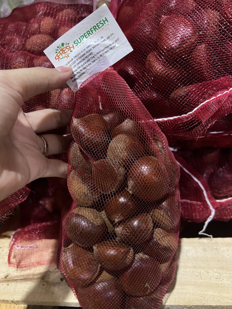 Hạt dẻ Hong Kong