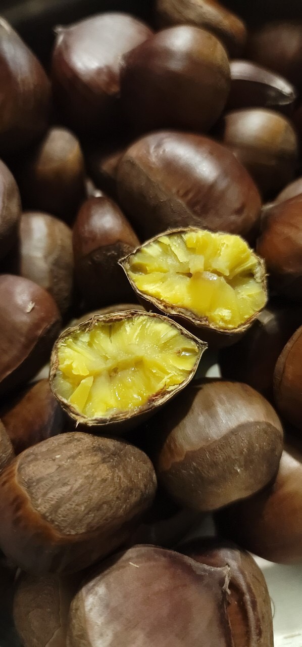 Hạt dẻ Hong Kong