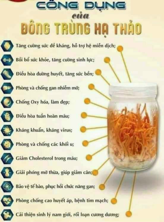 Đông trùng hạ thảo