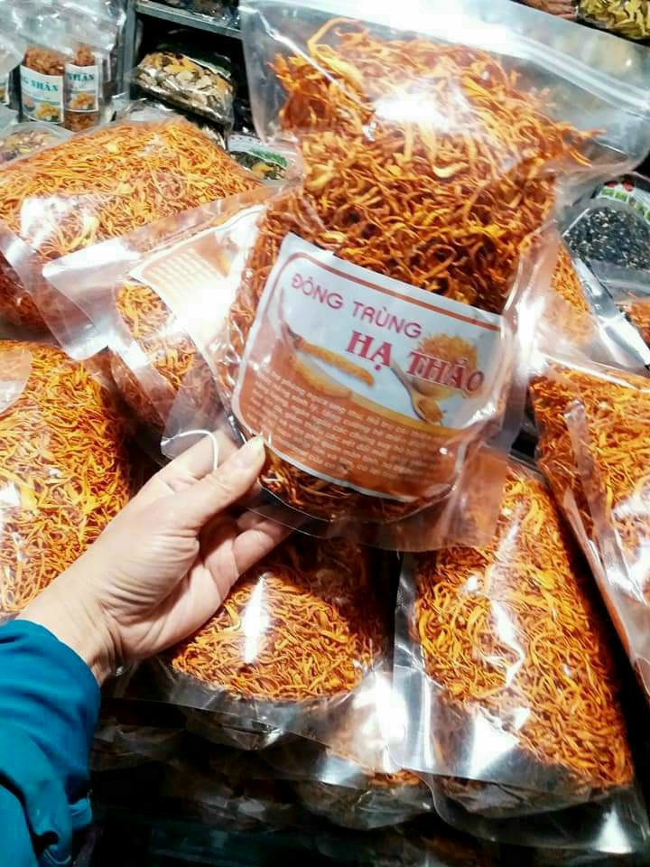 Đông trùng hạ thảo