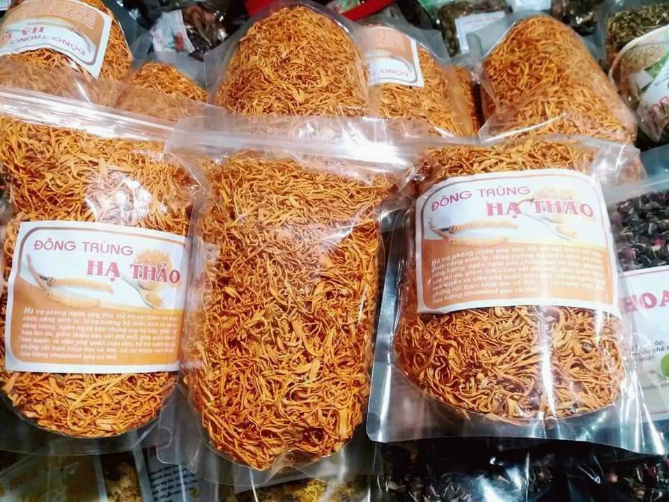 Đông trùng hạ thảo