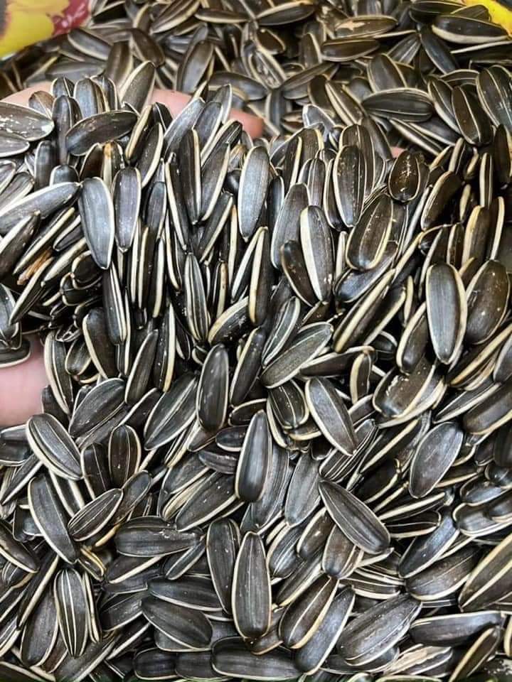 Hạt hướng dương