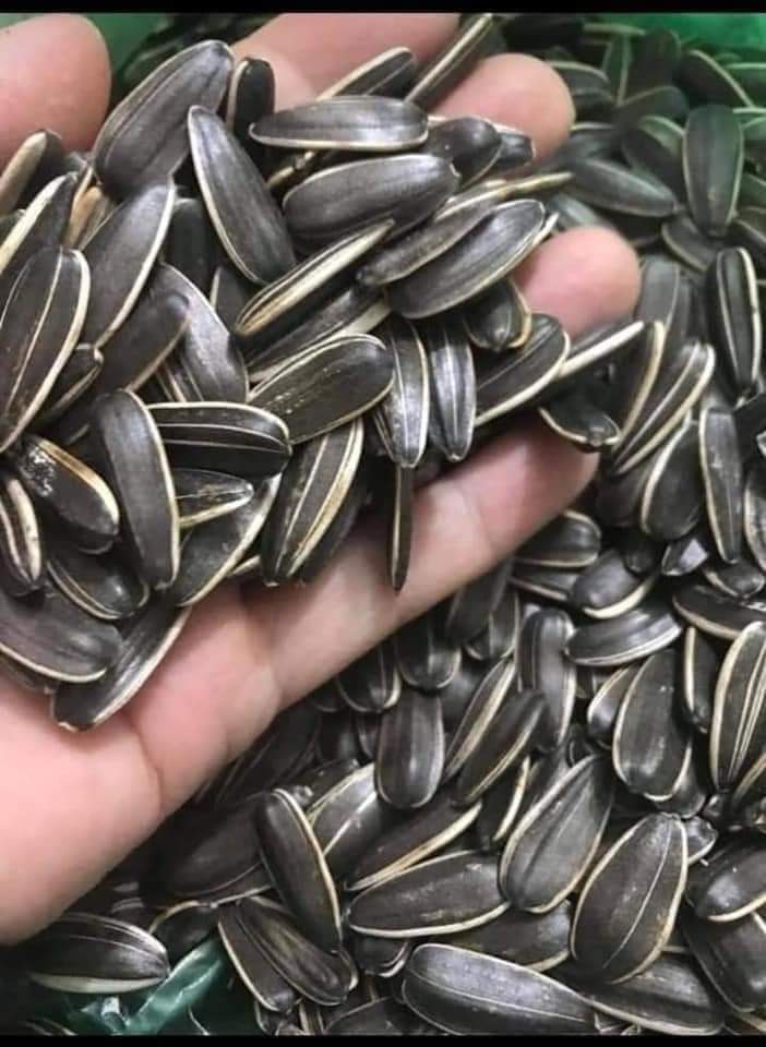 Hạt hướng dương