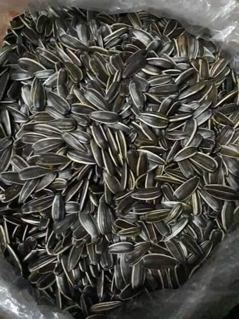 Hạt hướng dương