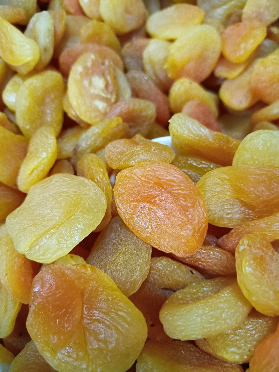 Mơ dẻo Thổ Nhĩ Kỳ