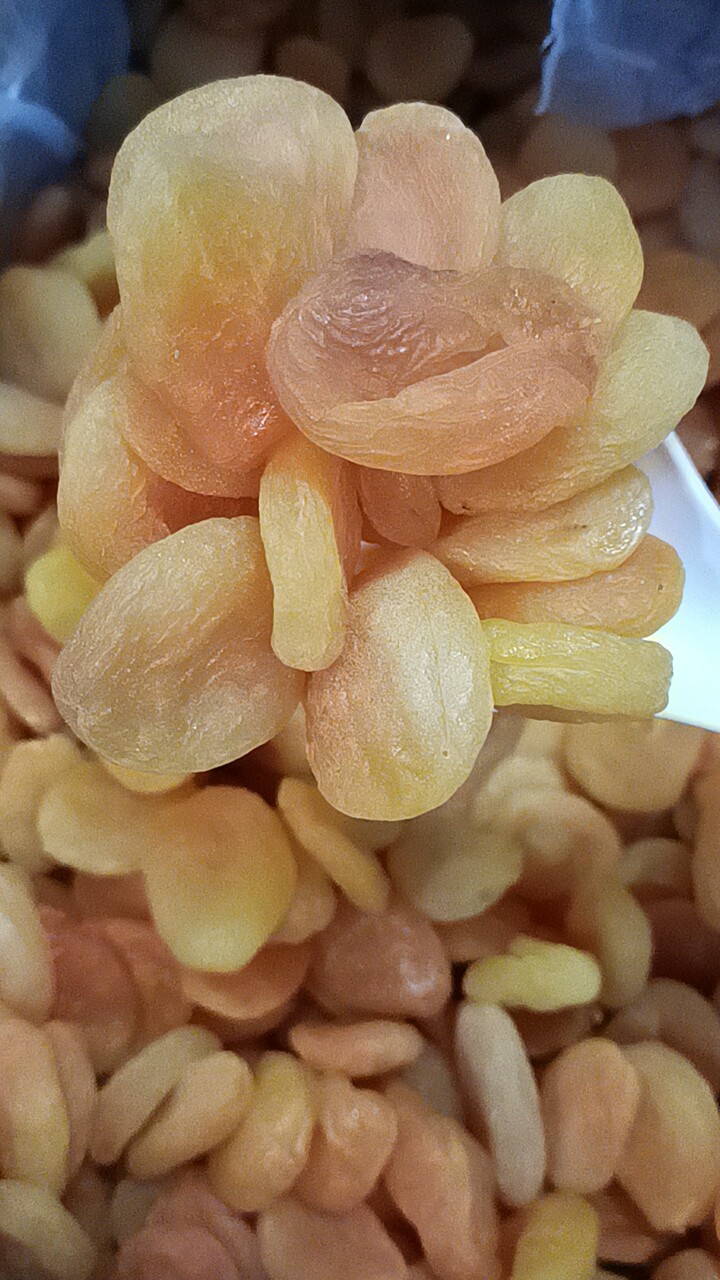 Mơ dẻo Thổ Nhĩ Kỳ