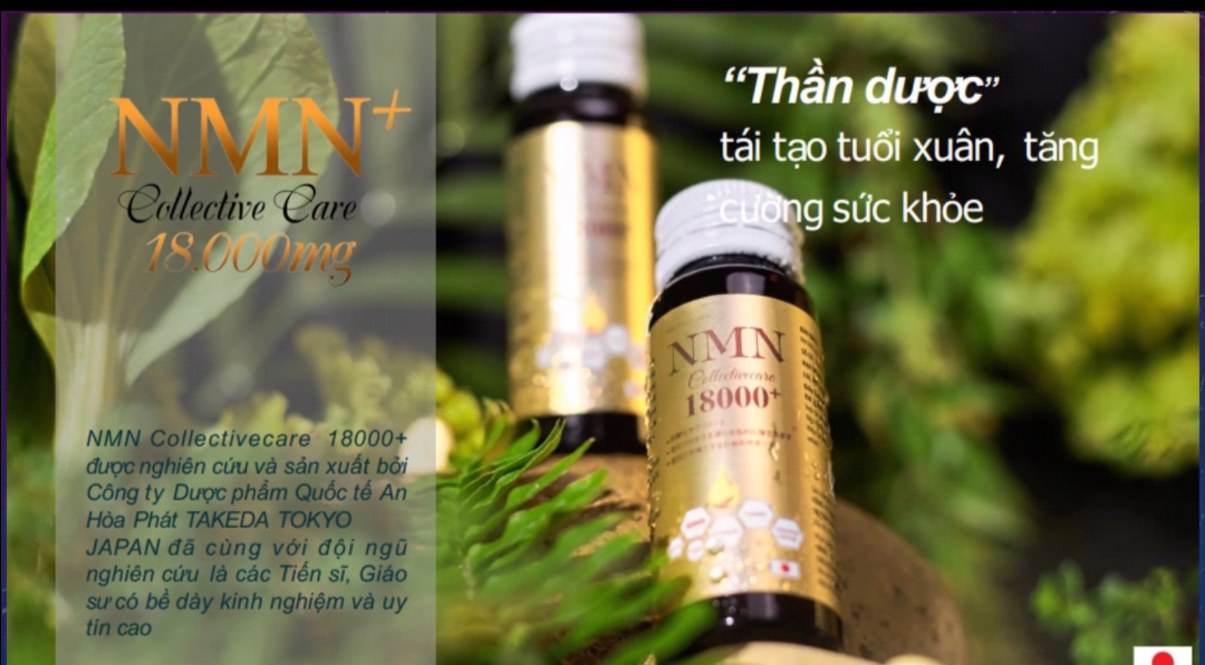 NMN COLLAGE CẢI LÃO HOÀNG ĐỒNG