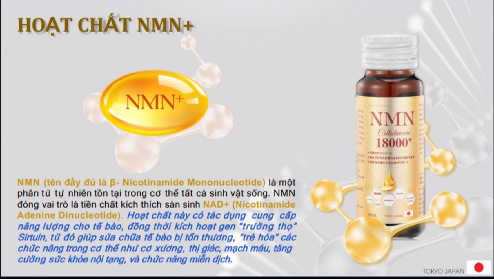 NMN COLLAGE CẢI LÃO HOÀNG ĐỒNG