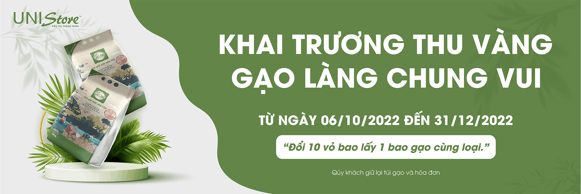 Gạo