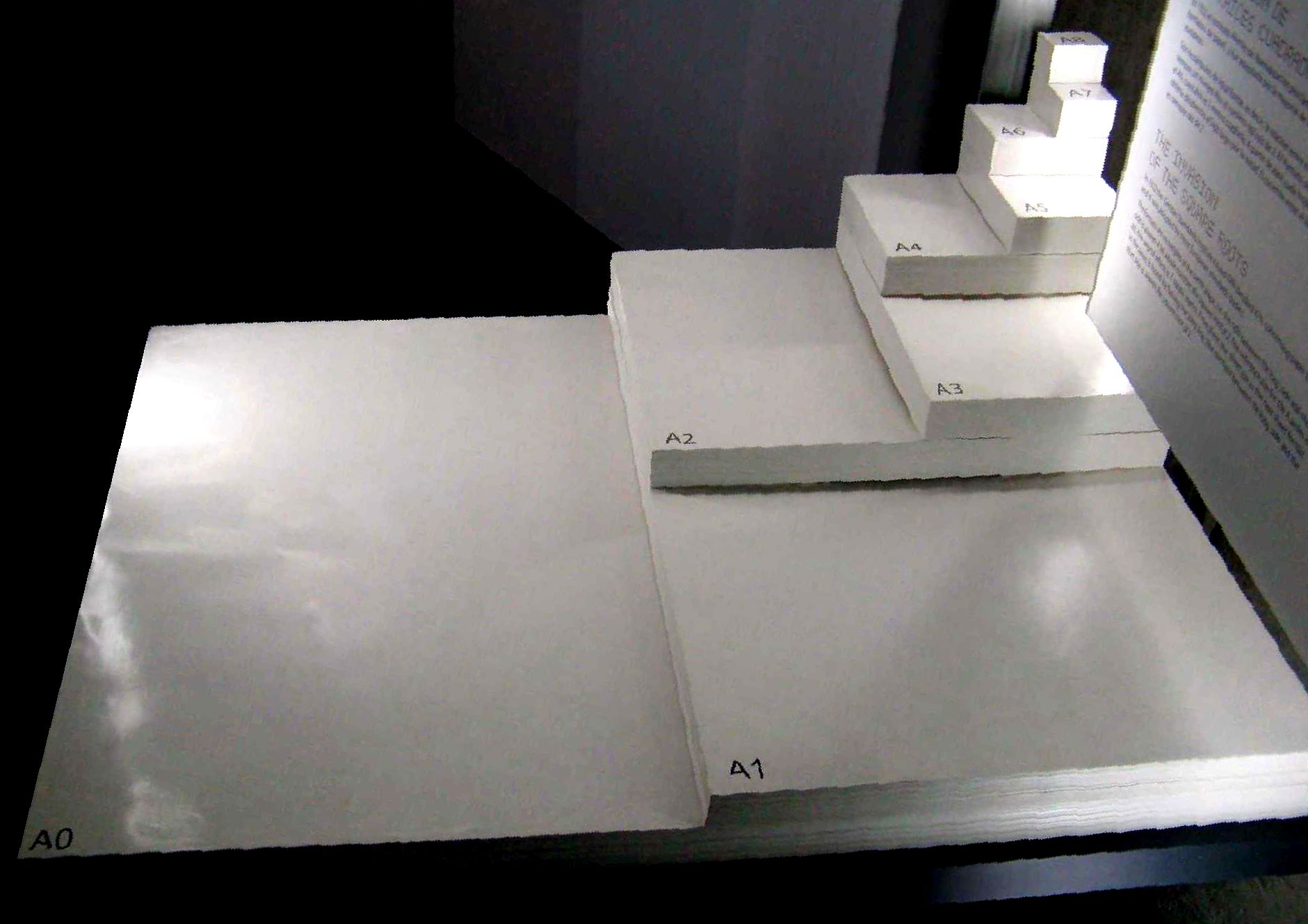 Kích Thước Giấy A4 Chuẩn Là Bao Nhiêu, Tại Sao Lại Quan Trọng?