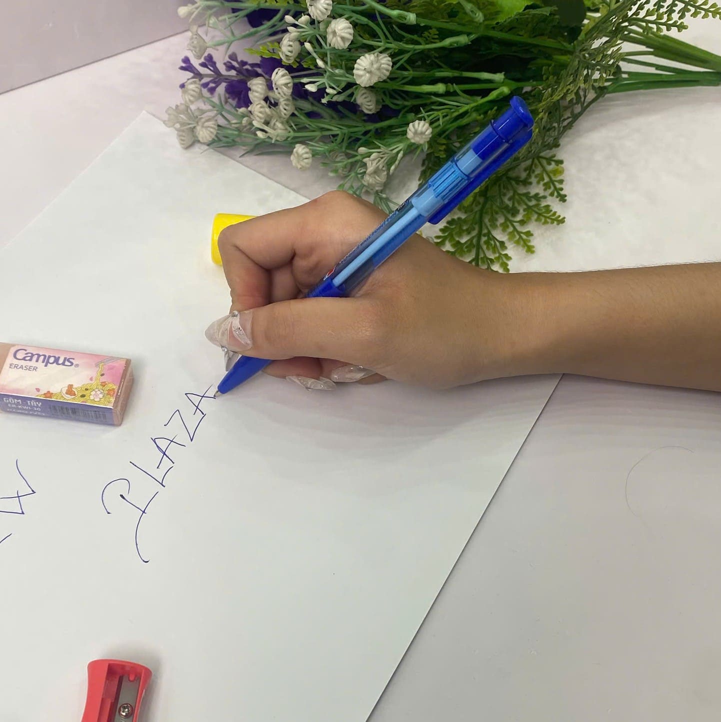 Bút bi Thiên Long 0.8mm TL023