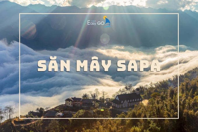 Cẩm Nang Săn Mây Sapa Bao Chuẩn, Bao Thành Công