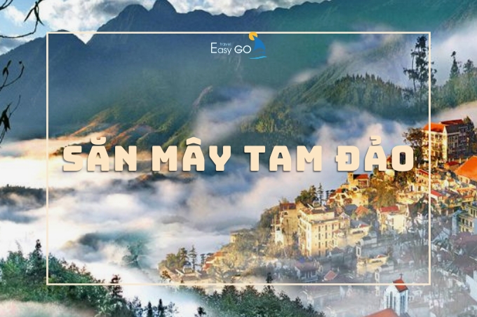 Săn Mây Tam Đảo - Trải Nghiệm Chữa Lành Ngay Gần Hà Nội