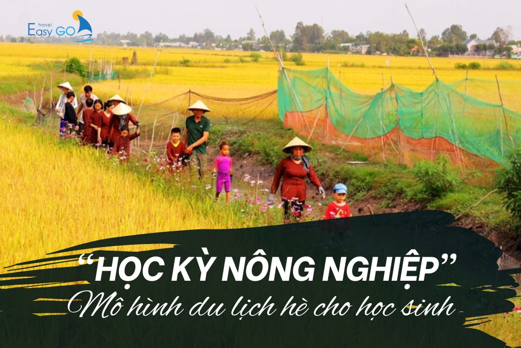 "Học kỳ nông nghiệp": Mô hình du lịch hè độc đáo cho học sinh