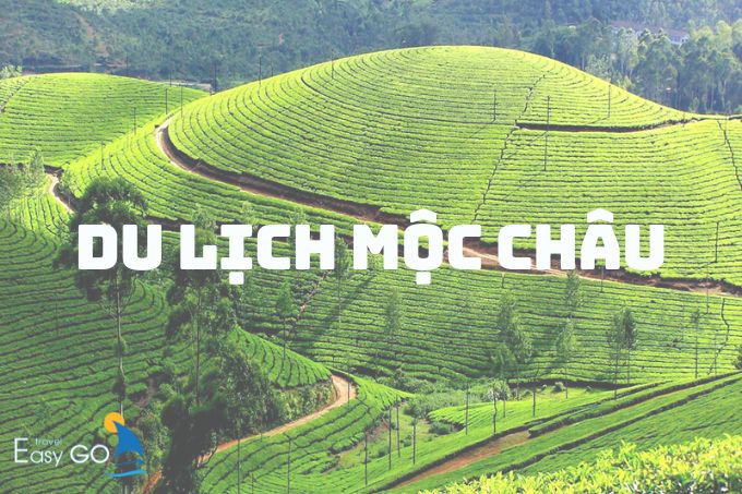 Du lịch Mộc Châu: Ăn gì, chơi gì? Kinh nghiệm du lịch Mộc Châu đầy đủ
