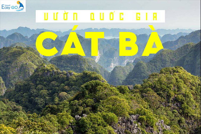 Khám phá vườn quốc gia Cát Bà - Điểm đến không thể bỏ qua hè 2023