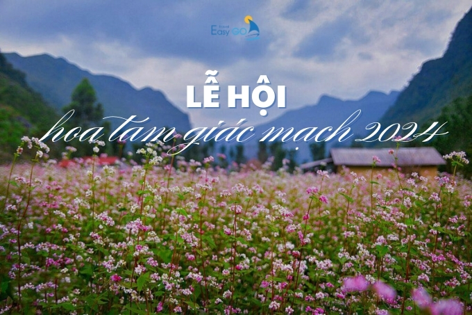 Khám Phá Lễ Hội Hoa Tam Giác Mạch Hà Giang Năm 2024
