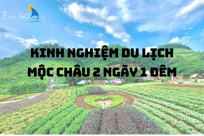 Kinh nghiệm du lịch Mộc Châu 2 ngày 1 đêm từ Hà Nội chi tiết nhất