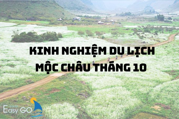 Kinh nghiệm du lịch Mộc Châu tháng 10 có gì đẹp