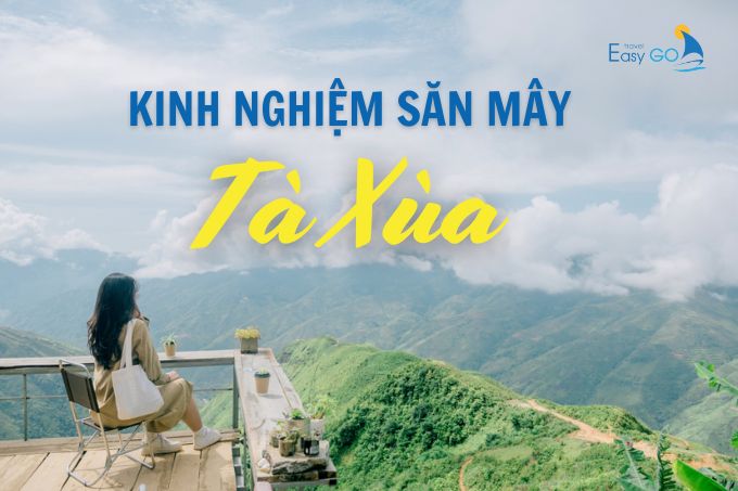 Kinh Nghiệm Săn Mây Tà Xùa Từ A Đến Z - Cập Nhật Mới Nhất 2024