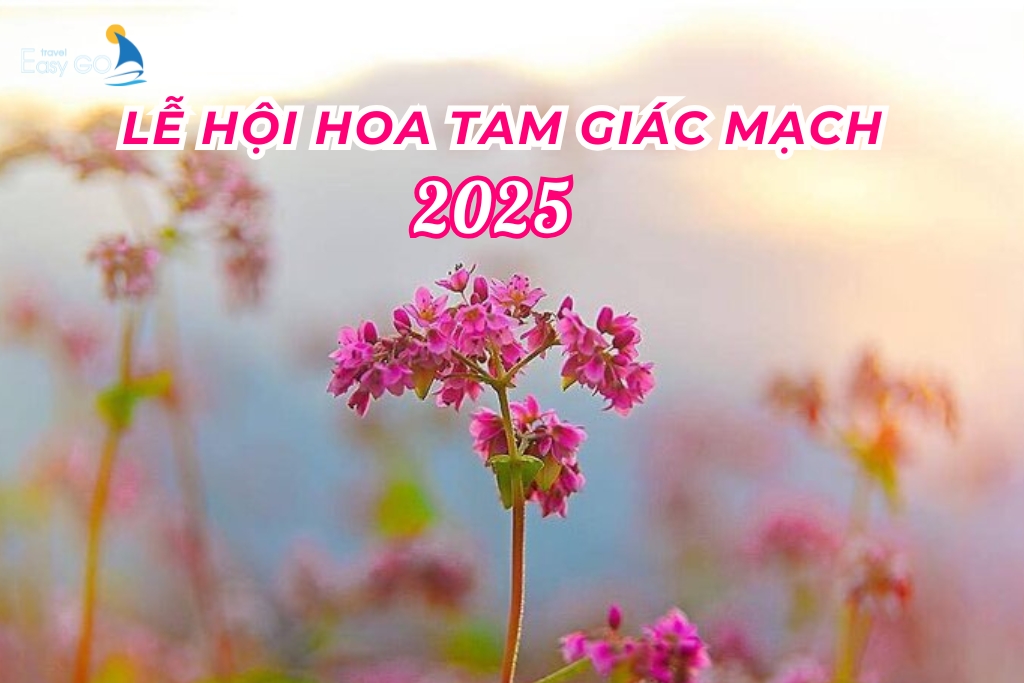 Lễ hội hoa tam giác mạch Hà Giang 2025 đã sẵn sàng chờ đón du khách